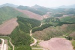 Để người dân phá rừng phòng hộ ở Đông Triều là do chủ rừng ảnh 4