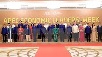 Thủ tướng nêu 5 vấn đề thảo luận tại các nền kinh tế APEC ảnh 2