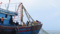 Tăng cường giải pháp chống khai thác hải sản bất hợp pháp ảnh 2