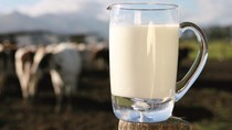 Công thức TH School Milk có gì đặc biệt? ảnh 4