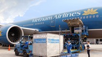 Tiếp viên Vietnam Airlines buôn lậu và cái giá của lòng tham ảnh 2