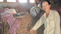 Làm sao ngành gỗ Việt Nam tránh được thiệt hại bởi Trung Quốc? ảnh 3
