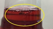Pepsico thừa nhận nhập nguyên liệu sản xuất trà Ô long Tea+ Plus từ Trung Quốc ảnh 4