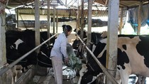 Người nông dân Vĩnh Phúc gửi đơn cầu cứu Thủ tướng về dự án của FLC  ảnh 4