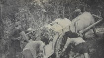Hồi ức của Đại tướng Lê Trọng Tấn về trận Điện Biên Phủ bắt sống tướng Đờ Cát ảnh 5