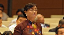 Bộ trưởng Vũ Huy Hoàng "lúng túng" vì Đại biểu Quốc hội hỏi nhiều câu khó ảnh 3