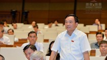Đại biểu Quốc hội muốn Bộ trưởng Nguyễn Chí Dũng nhận trách nhiệm ảnh 3