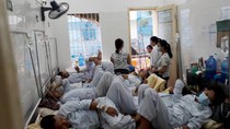 Bộ Y tế họp khẩn chỉ đạo điều trị, phòng chống dịch sốt xuất huyết ảnh 2