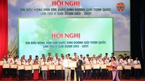 Vinh danh 63 nông dân Việt Nam xuất sắc năm 2017 ảnh 3