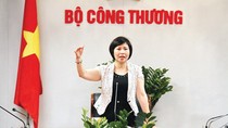 Bà Hồ Thị Kim Thoa và nhiều lãnh đạo tỉnh thành có vi phạm lớn ảnh 3