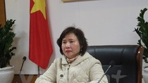 Có nên xem xét đình chỉ chức vụ Thứ trưởng Hồ Thị Kim Thoa? ảnh 4
