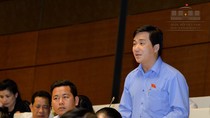Đại biểu Nguyễn Thị Mai Hoa: Làm giáo dục thì không được thử-sai hay thất bại ảnh 2