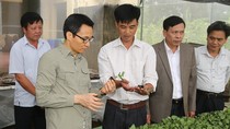 Việt Nam có thể xuất khẩu tôm cho cả thế giới? ảnh 3