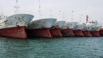 Hội nghề cá cảnh báo đại gia Sài Gòn mua 100 tàu thủy cũ bám biểm  ảnh 2