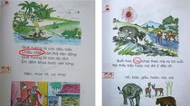 Sách giáo khoa Tiếng Việt lớp 2 có phải sai ngữ pháp, diễn đạt? ảnh 2