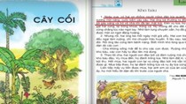Văn phong trong bài đọc “Kho báu” trong Tiếng Việt 2 không có gì sai ảnh 3