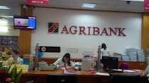 Agribank chọn cách chi thêm nhiều tỷ đồng in lịch Tết cho...nhàn thân? ảnh 2