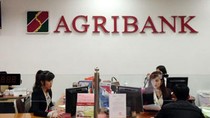 Lãnh đạo nào ở Agribank phải chịu trách nhiệm khi tăng chi tiền tỷ in lịch Tết? ảnh 2