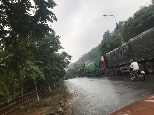8 chiếc xe tải bị lực lượng Cảnh sát giao thông huyện Quang Bình giữ 7 ngày nhưng không tìm ra được lỗi vi phạm.