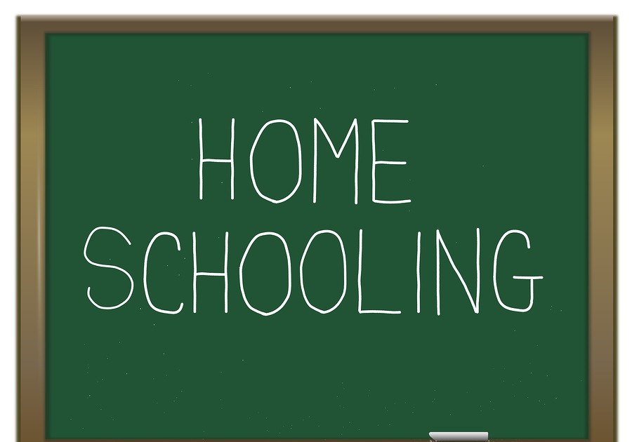 Homeschooling là gì Phương pháp giáo dục của thế kỷ 21