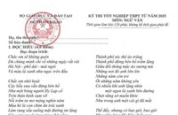 Một số giáo viên vẫn chưa hiểu rõ tinh thần của đề thi tham khảo môn Ngữ văn?