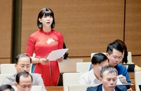 Nếu 3 công khai của trường ĐH tái diễn sai sót, nhầm lẫn: Cần xử lý nghiêm minh