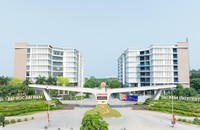 Nhiều biểu mẫu công khai bị lỗi, ĐH Đại Nam nói "do website bị gián đoạn"