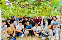 Để thành công trong ngành Bảo vệ thực vật, sinh viên cần những tố chất nào?