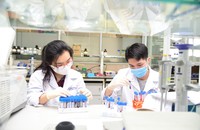 Muốn nâng thứ hạng, trường ĐH phải nâng cao chất lượng và phát triển nội lực