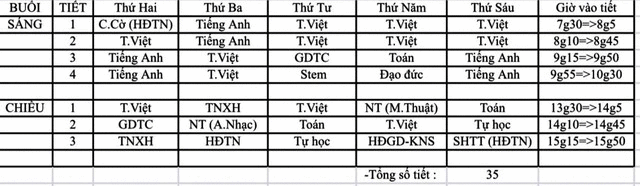 Các môn đăng ký tự nguyện chèn vào thời khoá biểu chính khoá không còn là chuyện lạ ở Thành phố Hồ Chí Minh và nhiều địa phương. (Ảnh phụ huynh cung cấp)