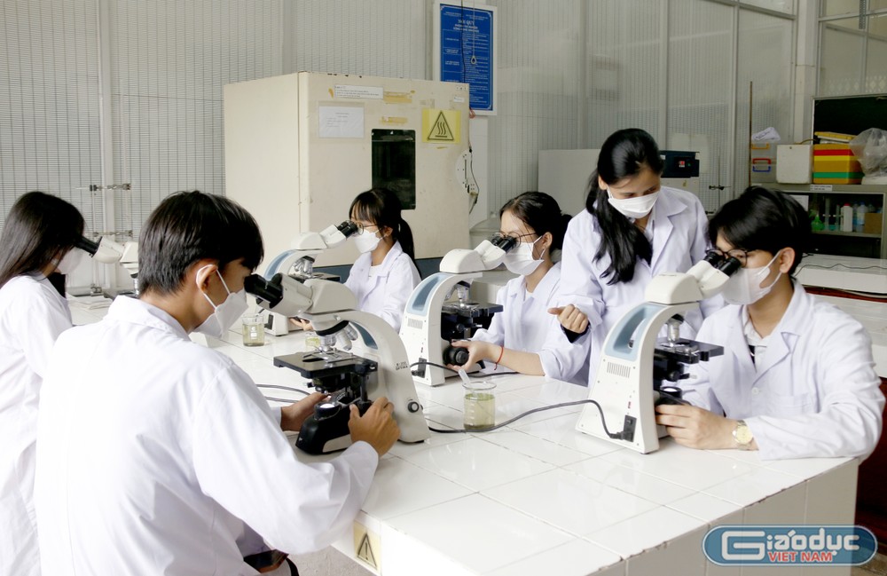 Ảnh minh hoạ: Mộc Trà. Ảnh minh hoạ: Mộc Trà.