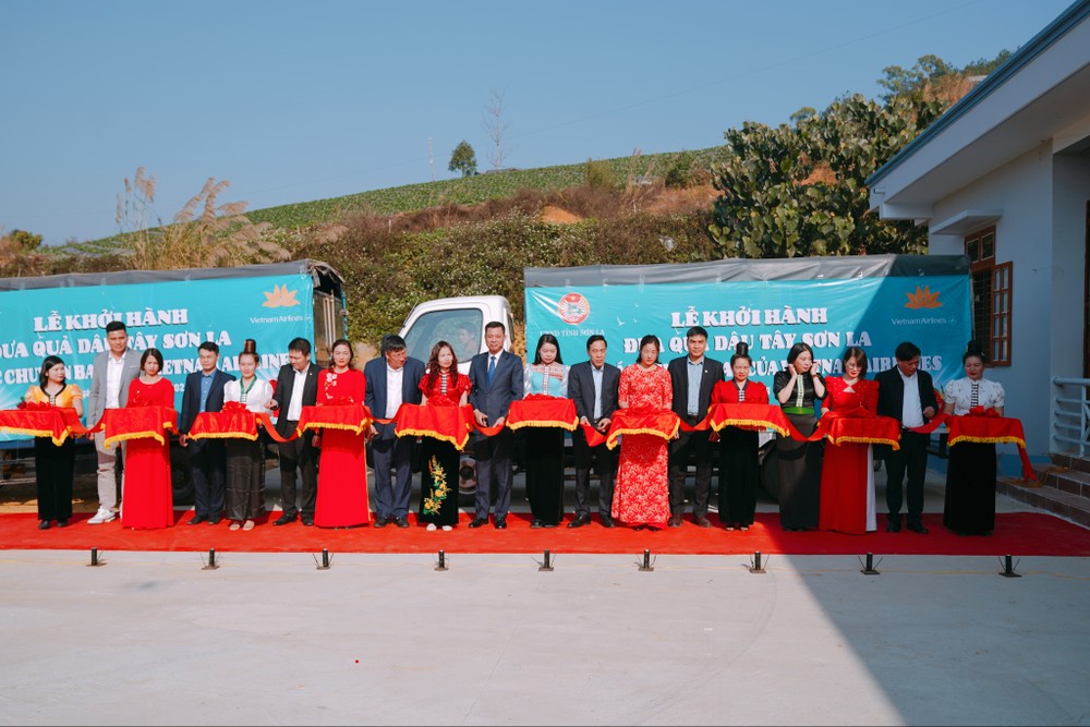 Lễ Khởi hành đưa quả dâu tây Sơn La trên các chuyến bay của Vietnam Airlines. Ảnh 1 - Lễ Khởi hành đưa quả dâu tây Sơn La trên các chuyến bay của Vietnam Airlines.JPG