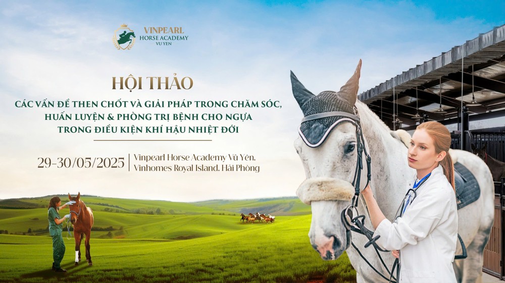 Hội thảo chuyên sâu hàng đầu về ngựa do Học viện Cưỡi Ngựa Vinpearl Vũ Yên tổ chức. Ảnh 1.jpg