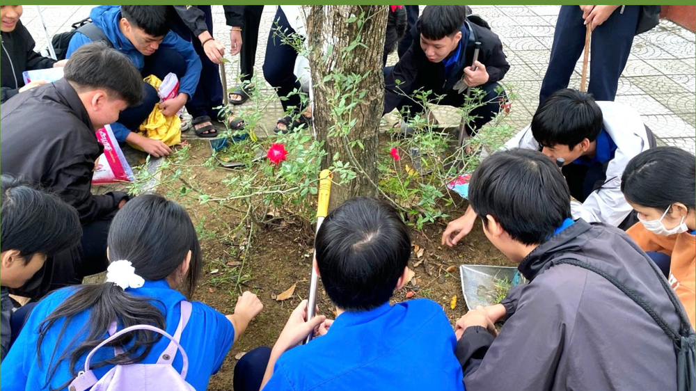 Hoạt động trồng cây xanh của học sinh Trường Trung học phổ thông Cao Thắng. (Ảnh: website nhà trường) 3.png