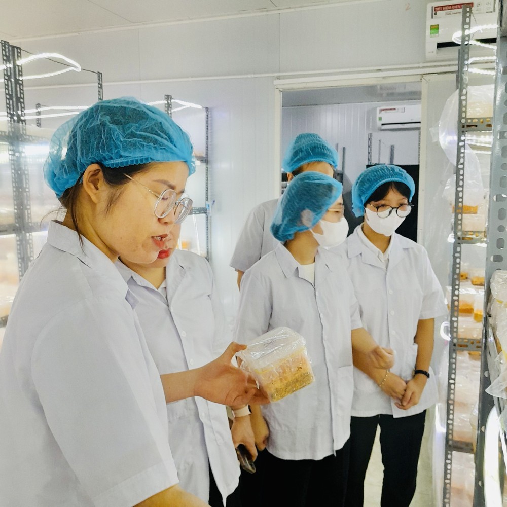 Sinh viên ngành Công nghệ sinh học trải nghiệm thực tế tại doanh nghiệp. Ảnh: NTCC Sinh viên được trải nghiệm nghề nghiệp với các công ty hoạt động trong lĩnh vực Công nghệ sinh học trong năm học thứ nhất.jpg