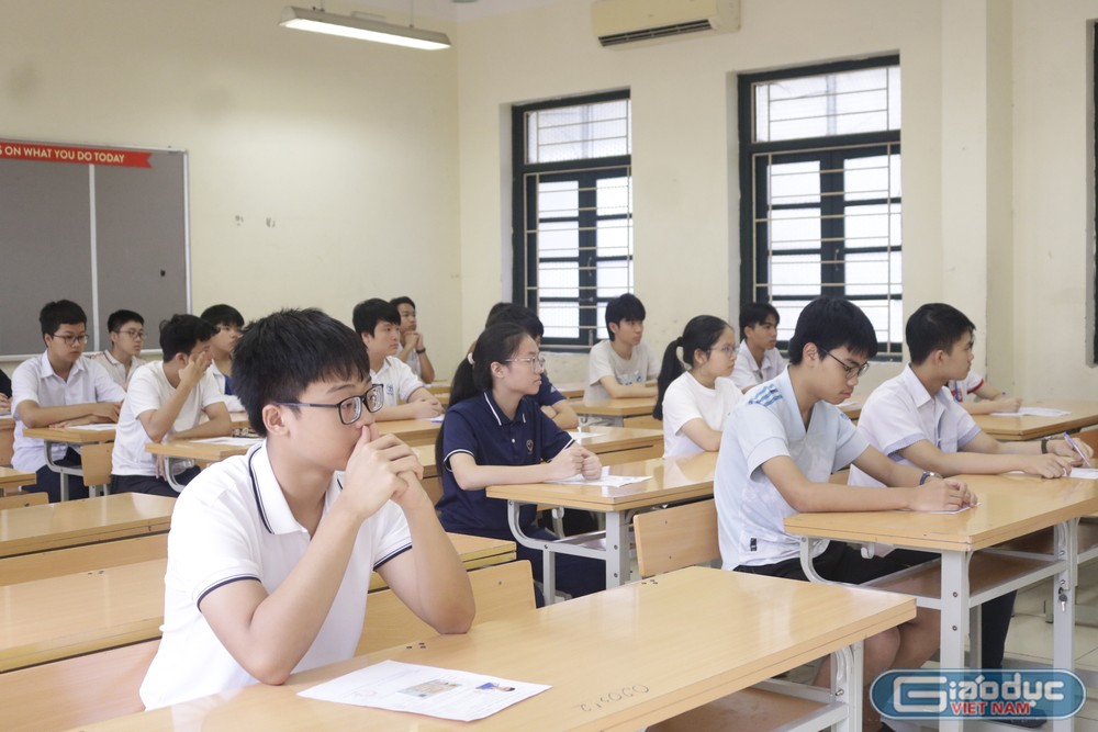 Ảnh minh họa: Ngọc Mai GDVN (737).JPG