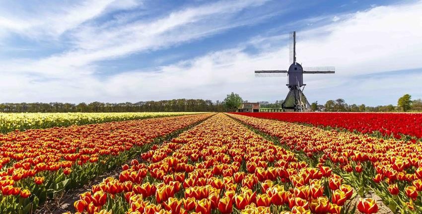 Keukenhof - Công viên hoa đẹp và rộng nhất thế giới tại Hà ...