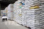 Thủ tướng yêu cầu thanh tra việc chấp hành quy định về xuất khẩu gạo