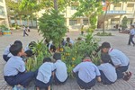 Xanh hơn mỗi ngày: Hành động nhỏ - Thay đổi lớn