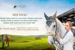 Học viện Cưỡi Ngựa Vinpearl Vũ Yên tổ chức Hội thảo chuyên sâu hàng đầu về ngựa