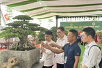 Hội thảo quốc gia về hoa, cây cảnh quy tụ hơn 300 chuyên gia, nghệ nhân