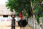 "Bằng chứng bị 'chặt chém' đây thưa ông Chủ tịch UBND thị xã Sầm Sơn"