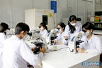 Trường đại học mong sớm có hướng dẫn chi tiết cách xác định rủi ro trong NCKH