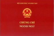 Bộ Giáo dục thống nhất với Bộ Nội vụ bỏ chứng chỉ ngoại ngữ, tin học