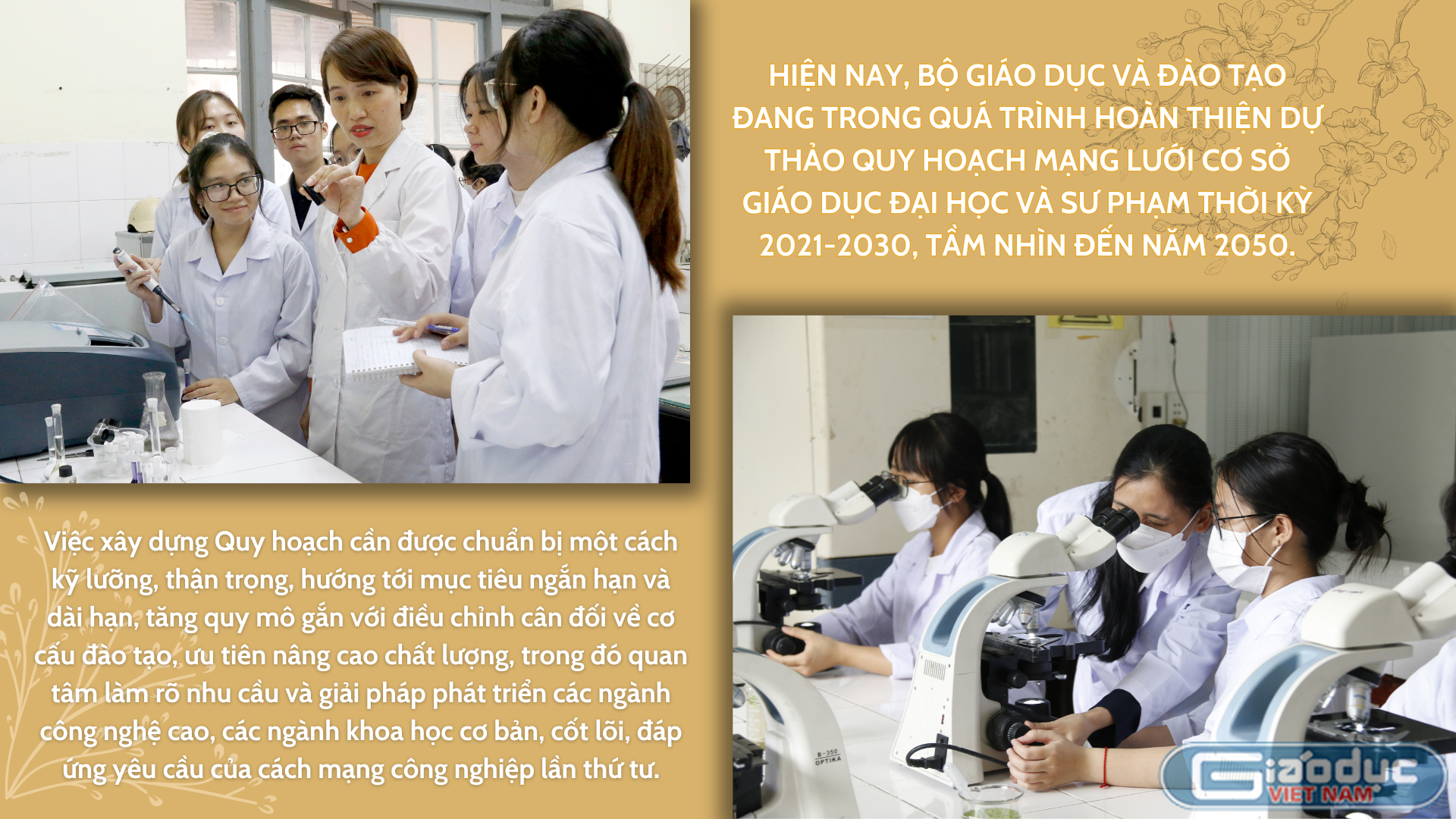 GDVN_ảnh.png
