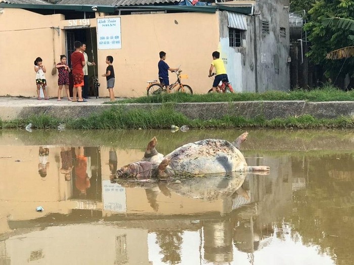 Phụ huynh ở Thanh Hóa phát hoảng với nguồn nước đầu vào bị ô nhiễm trầm trọng