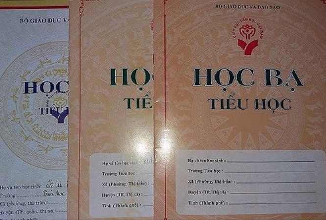 Sổ điểm điện tử góp phần làm hạn chế tiêu cực và thành tích ảo trong giáo dục ảnh 3