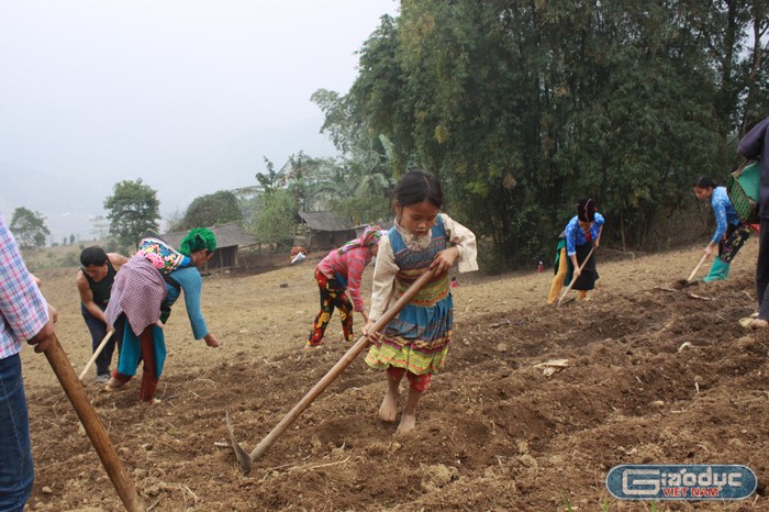 Nghỉ dịch Covid-19, học sinh vùng cao Hà Giang theo mẹ lên nương