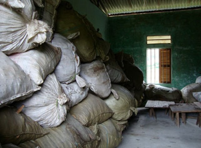 Hàng trăm bao thuốc đã qua sơ chế của Bảo Long để mốc tại nhà kho (ảnh báo Lai Châu)