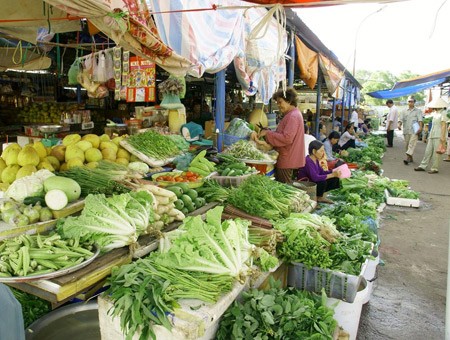 Bằng mắt thường người tiêu dùng không thể phân biệt được đâu là rau an toàn, đâu là rau có nhiễm hóa chất, tồn dư thuốc bảo vệ thực vật (ảnh nguồn VietQ)